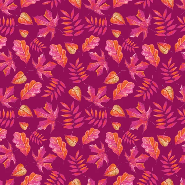 Fond sans couture de belles feuilles d'automne aquarelle sur fond rose cramoisi. Rowan, chêne, érable, bouleau, tilleul. Décoration pour le design d'automne. Texture lumineuse pour l'emballage, les textiles, la mode p — Photo