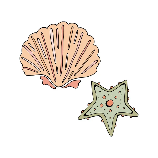 Starfish en shell groen en roze. Vector object op witte achtergrond. Retro stijl. Vintage. In afzondering. Hand tekening. De aard van de Oceaan. — Stockvector