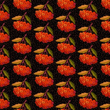 Siyah bir arka plan üzerinde kırmızı dağ külü Vektör dikişsiz desen. Parlak, turuncu Rowan çilek, gerçekçi el çizim arka plan. Dekorasyon için sonbahar ve kış teması. Tekstil için tasarım, paket