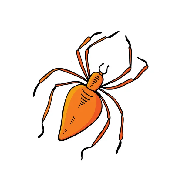 Spider in vector on isolated white background. Scary, fabulous spider for holiday decoration. Happy Halloween. Simple, modern style. Orange, — Stock Vector
