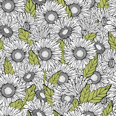 Vektör dikişsiz gerbera Papatya desen. Grafik el siyah çizgi çizim, gerçekçi tarzı. Çiçek Botanik illüstrasyon. Retro tarzı. Tasarım tekstil, ambalaj, Duvar Kağıdı için. zentangle.