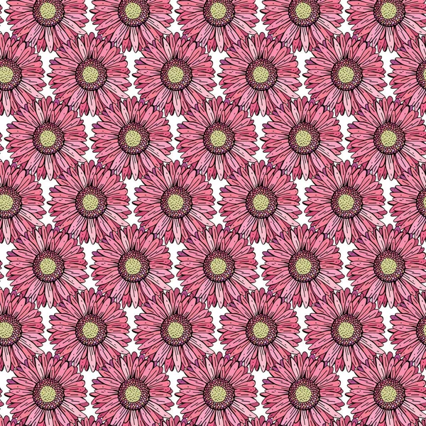 Vector seamless pattern gerbera Daisy. Background of bright, pink, orange, red flowers, realistic hand drawing. Botanical illustration. Retro style. Design for textiles, packaging, — Stock Vector