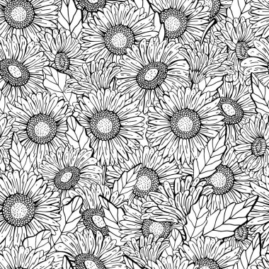 Vektör dikişsiz gerbera Papatya desen. Grafik el siyah çizgi çizim, gerçekçi tarzı. Çiçek Botanik illüstrasyon. Retro tarzı. Tasarım tekstil, ambalaj, Duvar Kağıdı için. zentangle.