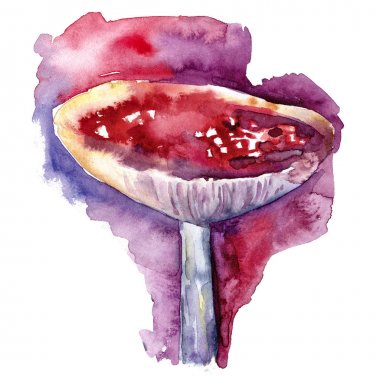 Pembe mor arka plan üzerinde suluboya kırmızı sinek agaric. Orman mantarı. Sonbahar ormanı. Gerçekçi bir tarz. Suluboya Bohem ormanı. El çizilmiş yaratıcı illüstrasyon.