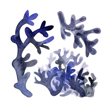 Beyaz arka planda izole suluboya orman çim. Suçiçeği elementleri-çim, yabani yosun, orman çim, dalları kümesi. Illüstrasyon. Sevimli bir tarzda peri ormanı. Dekoratif