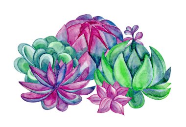 Orman yosunu ile suluboya sorunsuz arka plan. Dikişsiz arka plan, yaprakların dokusu, otlar, bitkiler. Yosun, yabani ot, mavi bitkiler. Doğal ahşap deseni. Kumaş, tekstil ambalajı