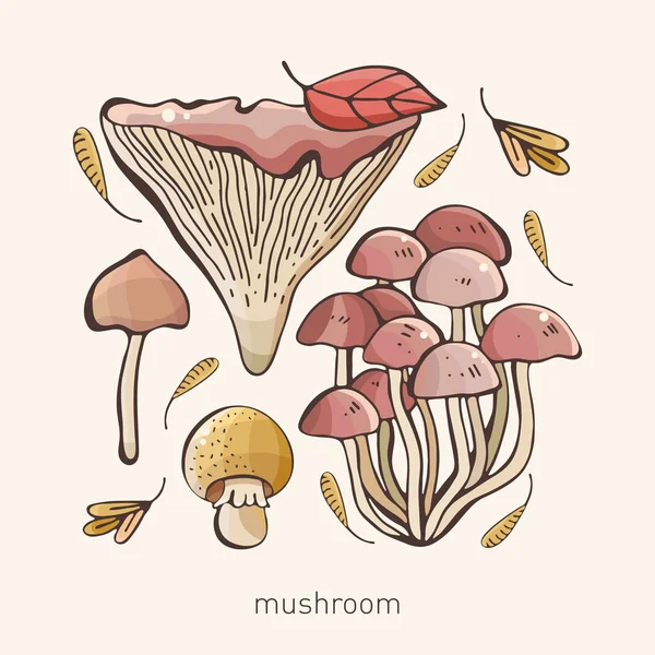 Conjunto vectorial de hongos forestales de colores. Mano dibuja. Inscripción. Surtido de champiñones, champiñones blancos, champiñones de miel, cantarelas, boletus bosquejo patrón de alimentos aislados — Vector de stock