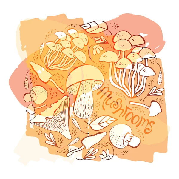 Set vectorial de ciuperci forestiere. Desen de mână linie neagră. Obiecte izolate pe fundal alb. Scrisoare. Sortiment de ciuperci, ciuperci albe, ciuperci de miere, chanterelles , — Vector de stoc