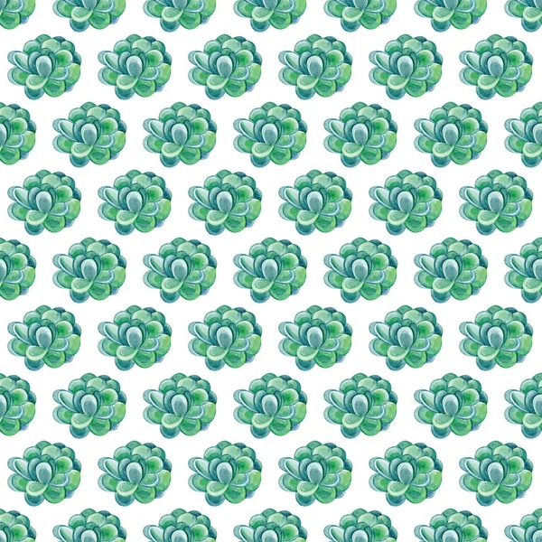 Watercolor green succulents seamless pattern. Seamless texture with objects: plants, succulent. Hand painted vintage gardening background. Hand drawn succulentus. Perfect for your project, — Stock Photo, Image