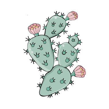 Vektör pembe çiçekleri ile kaktüs. Opuntia. Elle çizilmiş illüstrasyon. Beyaz arka planda yalıtılmış nesneler. Boy -ama. Doodle. naif çocuk stili.