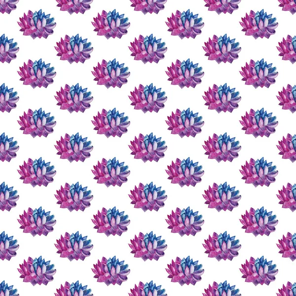 Watercolor succulents seamless pattern. Seamless texture with objects: plants, juicy. Gardening background. Hand drawn juicy. Perfect for your project, wedding, invitation, greeting card, — Stock Photo, Image