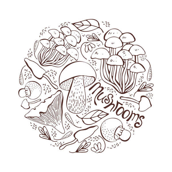 Mushroom hand drawn vector illustration. Set Isolated sketch food drawing into a circle. Mushrooms, morels, truffles, porcini mushrooms, oysters, honey agar, chanterelles, organic vegetarian product.