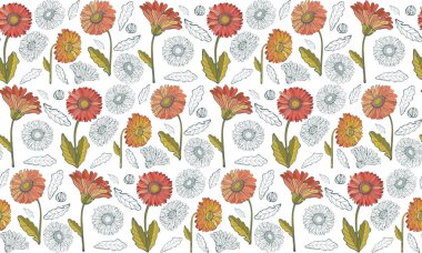 Çiçek dikişsiz vektör arka plan. Gerber beyaz bir arka plan üzerinde. Vintage tarzı. Papatya elle çizilmiş Botanik illüstrasyon. Baskı, kartpostal için iyi tasarım,