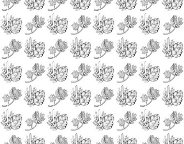 Çam kozalağı, kozalaklı konileri ve sedir ile dikişsiz vektör deseni. El çizilmiş vektör siyah beyaz illüstrasyon. Orman vintage tarzı. Kart tatili için tasarım öğeleri