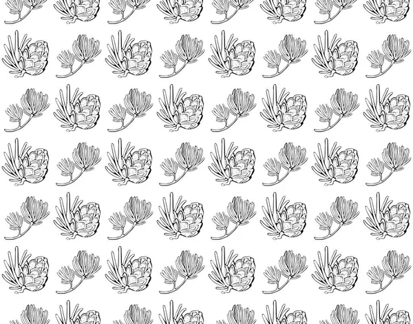 Çam kozalağı, kozalaklı konileri ve sedir ile dikişsiz vektör deseni. El çizilmiş vektör siyah beyaz illüstrasyon. Orman vintage tarzı. Kart tatili için tasarım öğeleri