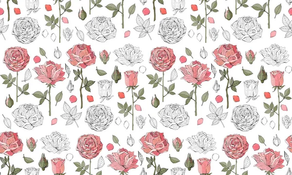 Fundo vetorial sem costura floral. Rosas cor-de-rosa sobre fundo branco. Estilo vintage. Ilustração botânica desenhada à mão. Bom design para impressão, cartão postal, papel de parede —  Vetores de Stock