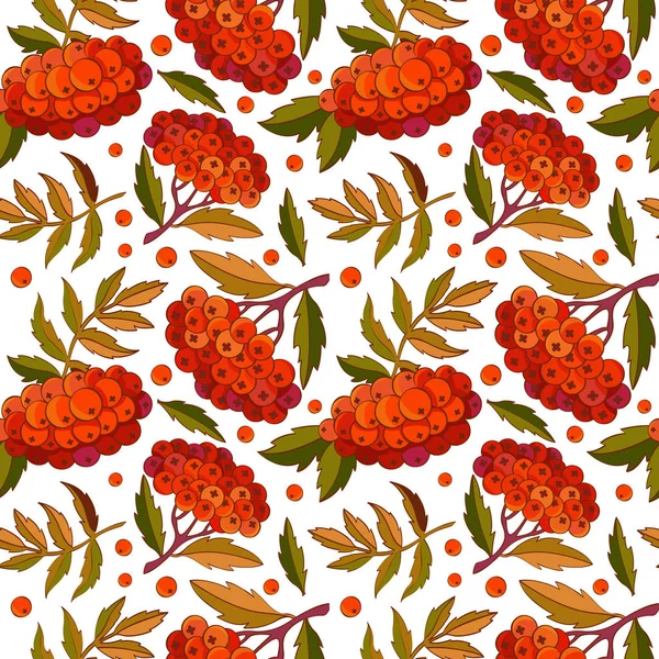 Patrón inconsútil rama de serbal, hojas y bayas rojas sobre fondo blanco en vector. Diseño de otoño. Bayas del bosque rojo. Para textiles de diseño, tela, embalaje, papel, decoración de superficies , — Vector de stock