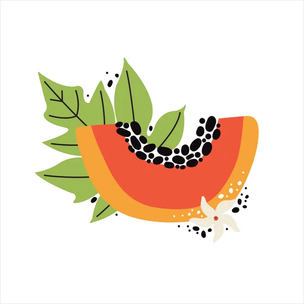 Papaya Naranja Jugosa Con Hojas Flores Rebanada Dibujada Mano Frutas — Vector de stock