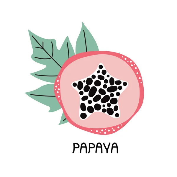 Hand drawn piece of sweet pink papaya with leaves. Tropical fresh fruit with pulp and seeds. Vegetarian healthy organic food. Lettering phrase papaya. Vector flat illustrations in Scandinavian style. — Stock Vector