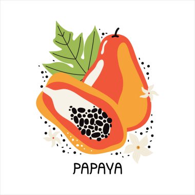 Yapraklı ve çiçekli portakallı papaya. Et ve çekirdekli el yapımı tropikal meyve dilimi. Beyaz zemin üzerinde vektör düz illüstrasyon. El yazısıyla yazılmış papaya. Kara orman meyveleri.