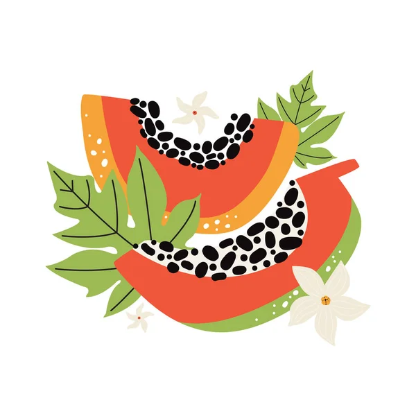 Papaye Orange Juteuse Aux Feuilles Fleurs Tranche Dessinée Main Fruits — Image vectorielle
