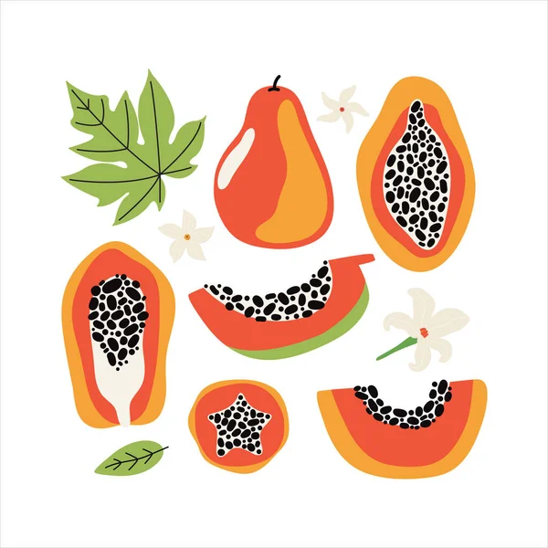 Set papaye orange avec des feuilles et des fleurs. Collecte dessinée à la main fruits entiers et tranchés de fruits tropicaux avec de la chair, graines. Aliments végétaliens diététiques, biologiques. Doodle fruits de la jungle. Illustration vectorielle plate — Image vectorielle