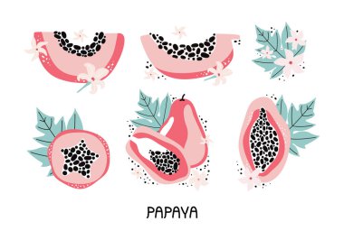 Yaprakları ve çiçekleri olan pembe papaya koleksiyonu. Eti ve tohumları olan tropikal meyvelerin bütün ve dilimlenmiş meyvelerini yerleştirin. Kara orman meyveleri. Posterler, çıkartmalar, menüler için modern tasarım.