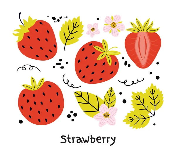 Handgezeichnetes Set Roter Erdbeeren Mit Blättern Und Blüten Isoliert Auf — Stockvektor
