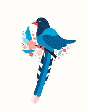 Tayvan mavisi saksağan. Tayvan Urocissa caerulea sembolü. Tayvan, Çin ve Asya 'nın egzotik kuşları. Mavi çizgi film kuşu ve pembe sakura çiçekleri. İskandinav tarzında elle çizilmiş düz çizim