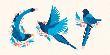 Tayvan mavisi saksağan. Tayvan Urocissa caerulea sembolü. Tayvan, Çin ve Asya 'nın egzotik kuşları. Mavi çizgi film kuşu ve pembe sakura çiçekleri. İskandinav tarzında elle çizilmiş düz çizim