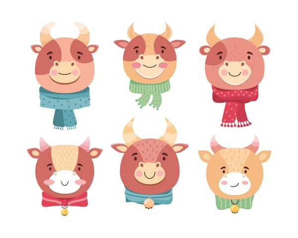 Caras de dibujos animados lindos de toros bebé. Símbolo del año nuevo 2021. Buey divertido en bufandas, campanas y arcos. Personaje de dibujos animados niño sonrisas animales. Terneros Kawaii. Ilustración plana vectorial en estilo escandinavo — Archivo Imágenes Vectoriales