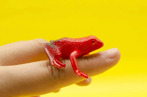 Plastic toy frog on a finger against yellow background. Toy red frog on yellow background