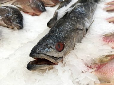 Buz taze balık. Balık bölüm bir süpermarket