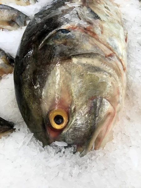 Fresh fish in ice. Fish section of a supermarket