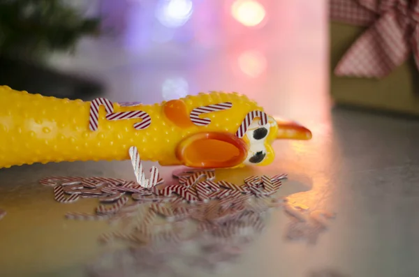 Toy rubber shriek yellow chicken with christmas overdose. Toy rubber shriek yellow chicken with candy cane confetti on a christmas decoration
