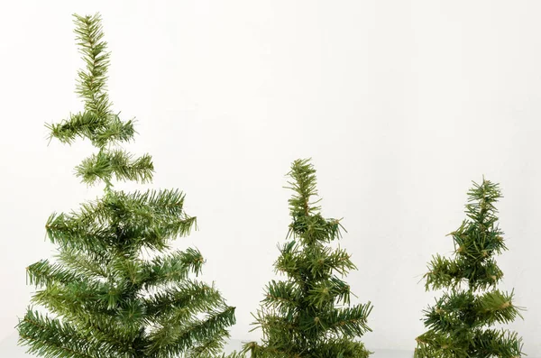 Tres Árboles Navidad Sobre Fondo Blanco Pinos Aislados Sobre Fondo —  Fotos de Stock