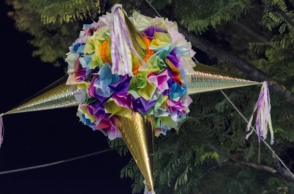Renkli Piata Geceleri Bir Ağaç Üzerinde Tutarak Meksika Noel Dekorasyon — Stok fotoğraf