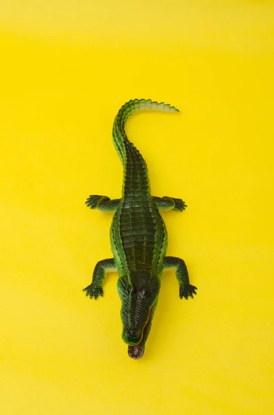 Brinquedo Crocodilo Borracha Isolado Fundo Amarelo — Fotografia de Stock