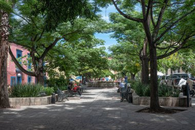 Oaxaca, Oaxaca, Meksika- 23 Haziran 2019: Oaxaca, Meksika tarihi merkezinde güneşli bir günde Parque Labastida görünümü