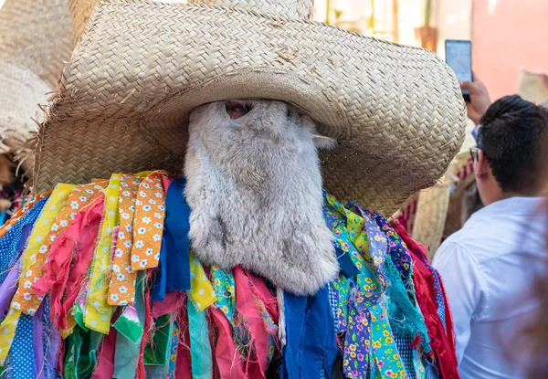 Oaxaca Oaxaca Meksyk Lipca 2019 Człowiek Ubrany Jak Tiliche Tradycyjny — Zdjęcie stockowe