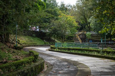 A winding paved path curves through the lush greenery of Los Lagos park in Xalapa, Veracruz, Mexico. Surrounded by dense trees, manicured hedges, and blooming flowers, the scene captures a peaceful urban retreat
