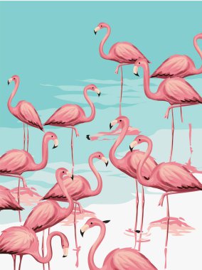 Flamingo sürü plaj resimde üzerinde