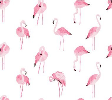Dikişsiz flamingo desen illüstrasyon