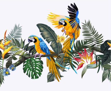 egzotik orman dikişsiz desen macaw kuş