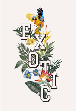 egzotik ormanda macaw kuş ile egzotik sloganı