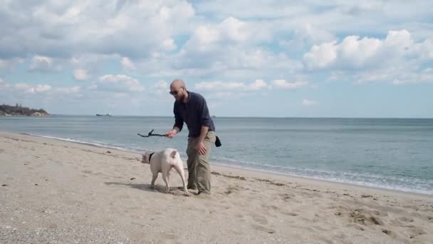 Ung man leker med sin hund på stranden — Stockvideo