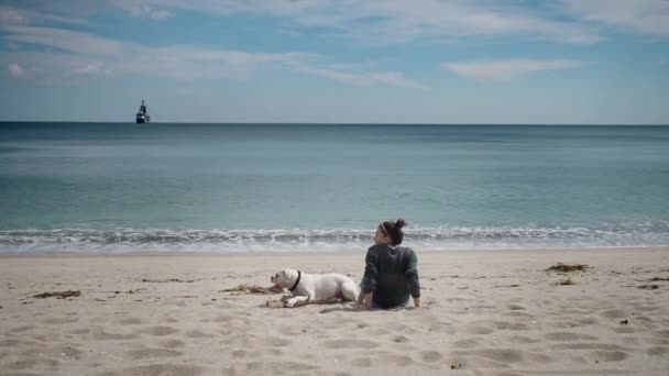 彼女の犬の横に砂の上に座っている若い女性の後ろ姿。スローモーション — ストック動画