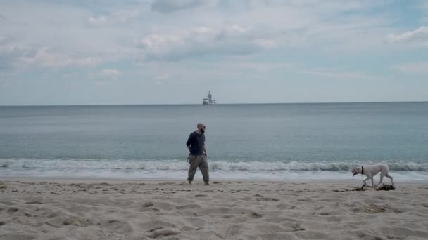 Junger Mann spielt mit Hund am Strand — Stockvideo