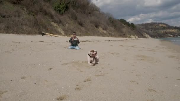 Amplio tiro de un perro boxeador blanco masticando un palo en la playa cerca de su dueño — Vídeo de stock