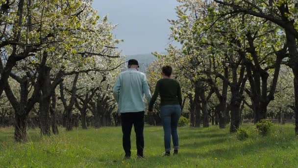 年轻情侣在爱情中漫步穿过美丽盛开的樱桃树森林 — 图库视频影像